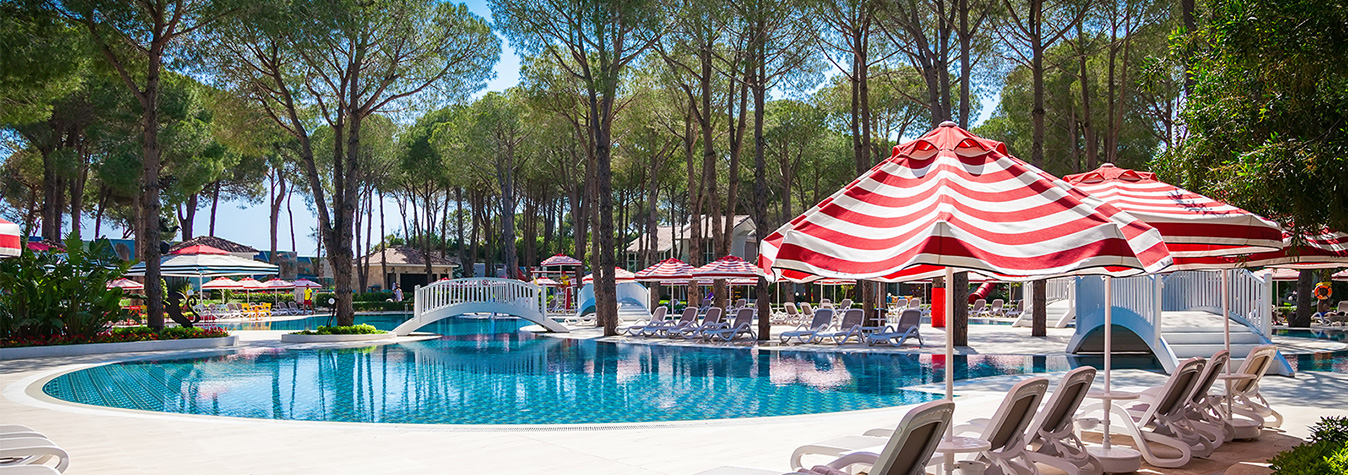 Gestion des incidents campeurs avec Camp’in : une solution proactive pour un séjour réussi